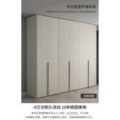现代轻奢顶大衣柜JXJ 858整体组合简约卧门室成品到小用户型四六