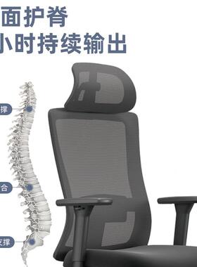 人体工学升降背电脑椅家用双电竞椅椅久坐学习旋椅LS-107职员办公