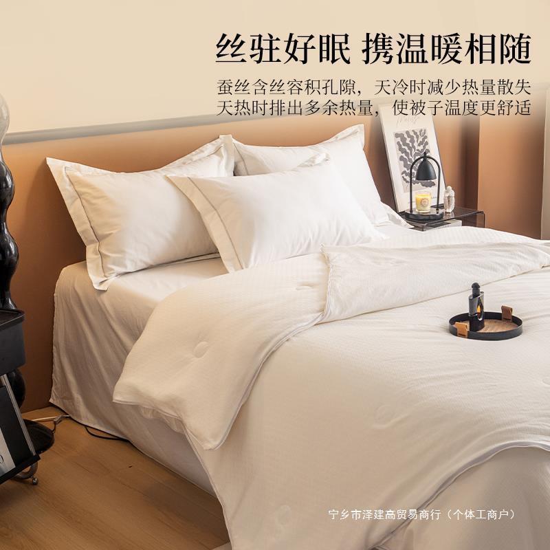 XVP天然全厚蚕丝被芯春被秋冬四季通用二合母一子被子单双人加褥