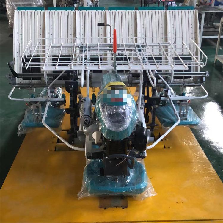 大型水稻田高低速可KMI插电秧机全苗自动柴油机启动栽插秧调机