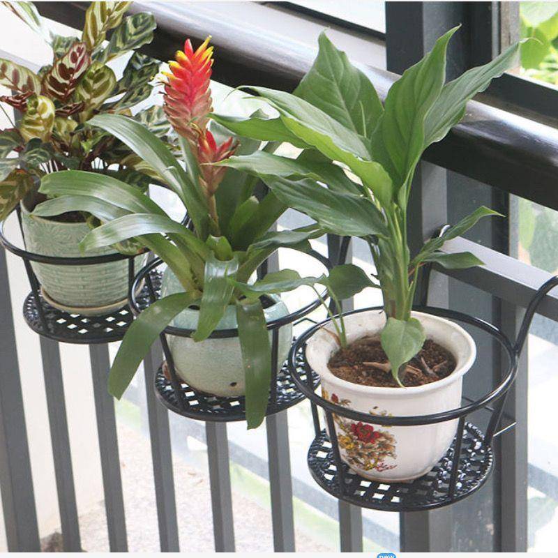 阳台养架盆栽植物植室内吊兰花萝花盆架阳台OPW栏杆花架绿挂墙绿
