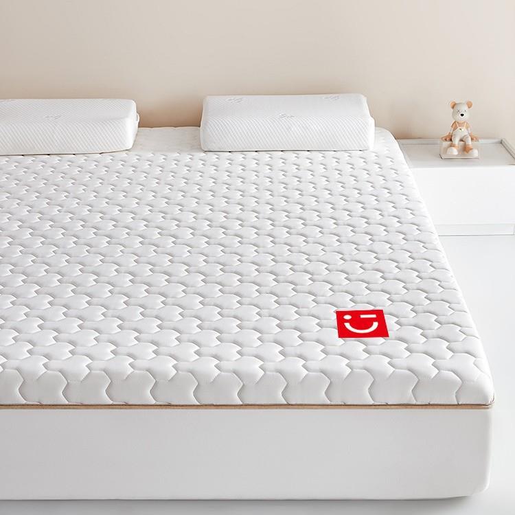 乳胶棉床JXP垫家用卧软垫榻榻米宿舍记学室生单人租忆房床褥