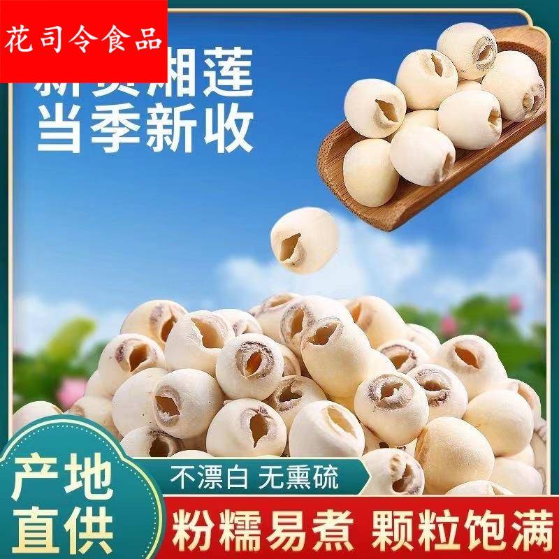 莲子500干货当季白莲子去芯磨皮白莲湖南特产农家自产芯白莲湖