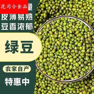 东北农家自产绿豆可发芽颗粒饱满肉多皮薄500g粮油旗舰店