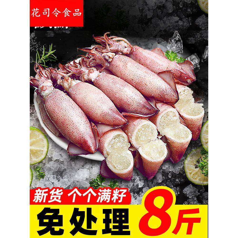 海兔子满籽墨鱼仔新鲜海兔鲜活带籽笔管鱼大乌贼籽乌鱿鱼海鲜水产