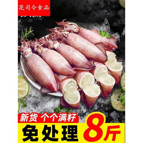 海兔子满籽墨鱼仔新鲜海兔鲜活带籽笔管鱼大乌贼籽乌鱿鱼海鲜水产
