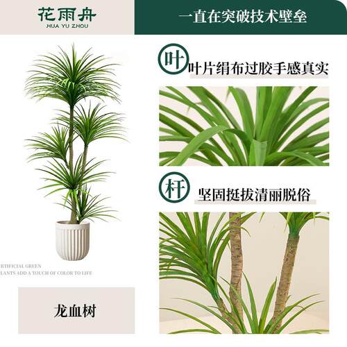 植F98SS95S轻奢龙血室内客厅大装型仿绿生植物盆栽落地摆树件饰假