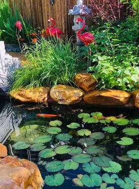 石然黄蜡石原石鱼池假山天造景黄色石头驳岸园石230220草坪点缀林