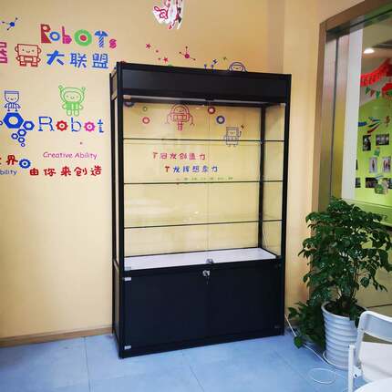 烟酒店超货架烟酒展示柜商场市红展示柜酒店酒吧柜展A款：100台酒