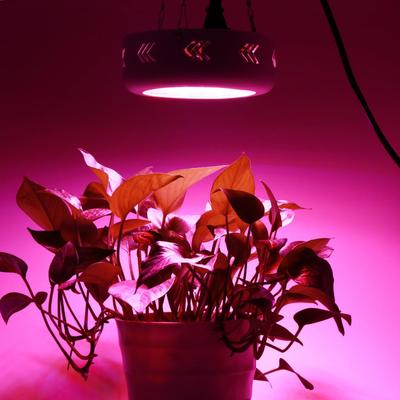 跨EFTE境顶直供大功率全光谱UFO植生物灯LD吊植物长灯补光灯上色