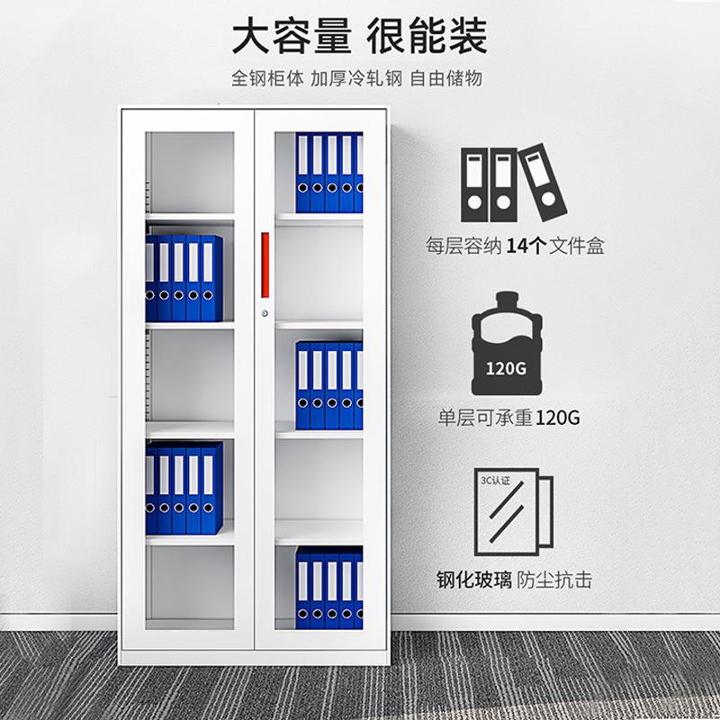 办柜公室资PLX-WJ00料柜财务凭证件柜对开门文件收纳铁带锁档案柜