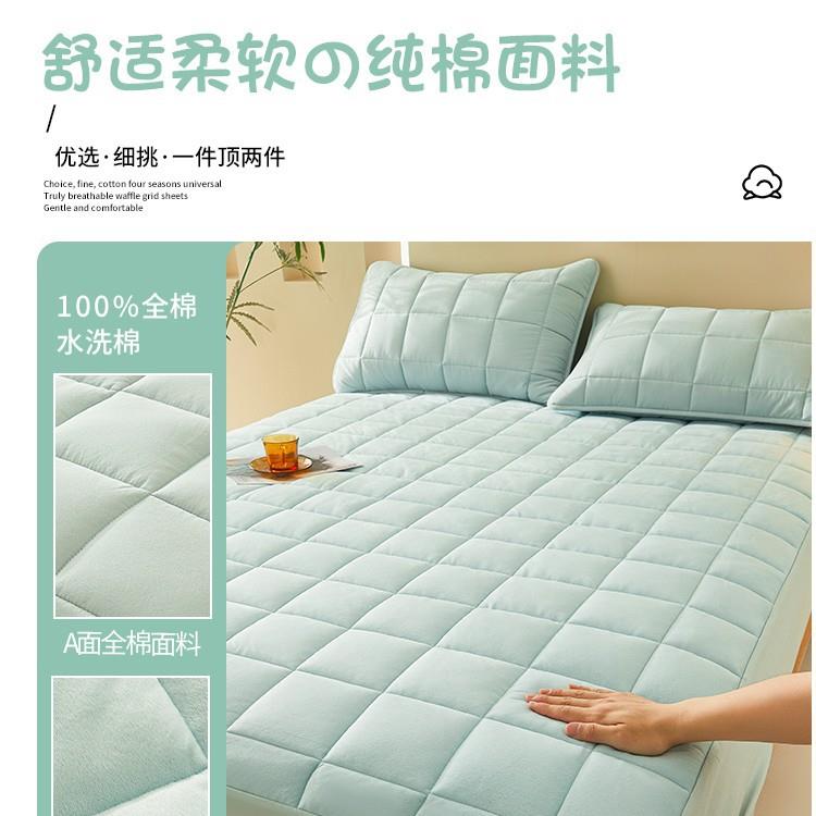 四季通用双面床笠A纯棉B绒面床罩套单二件加厚垫全SX202407床保护