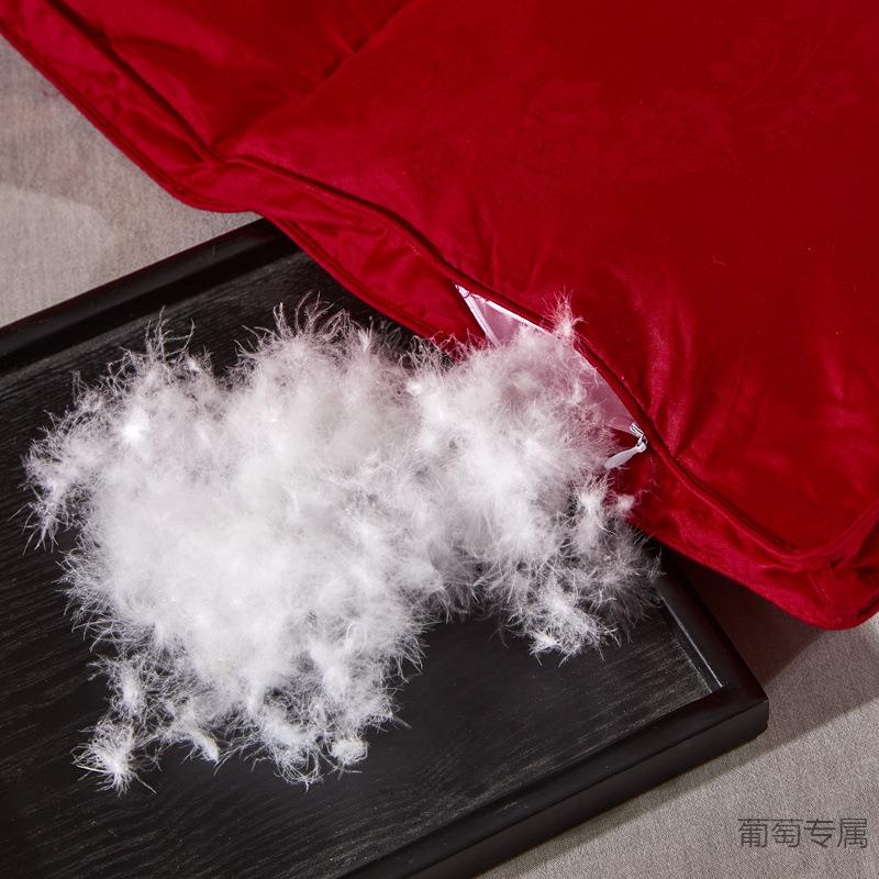 新款仿VGAZ丝真大提花鹅绒被双层立羽体工艺绒被被子被芯送礼喜被
