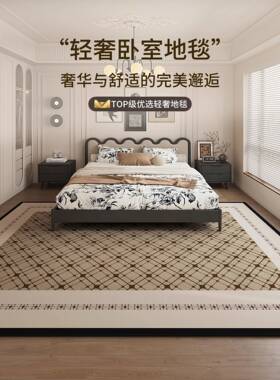 法式中新古风地客厅2025款奢轻复毯古沙发地垫免洗可擦卧HH661014