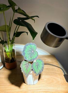 太阳光植物补菜光夹生长YHD灯全光谱多肉子灯蔬花卉植育苗绿补光