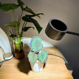 太阳光植物补菜光夹生长YHD灯全光谱多肉子灯蔬花卉植育苗绿补光