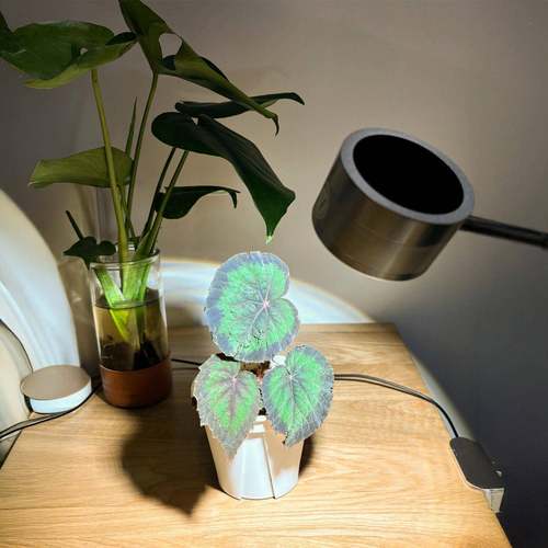 太阳光植物补菜光夹生长YHD灯全光谱多肉子灯蔬花卉植育苗绿补光