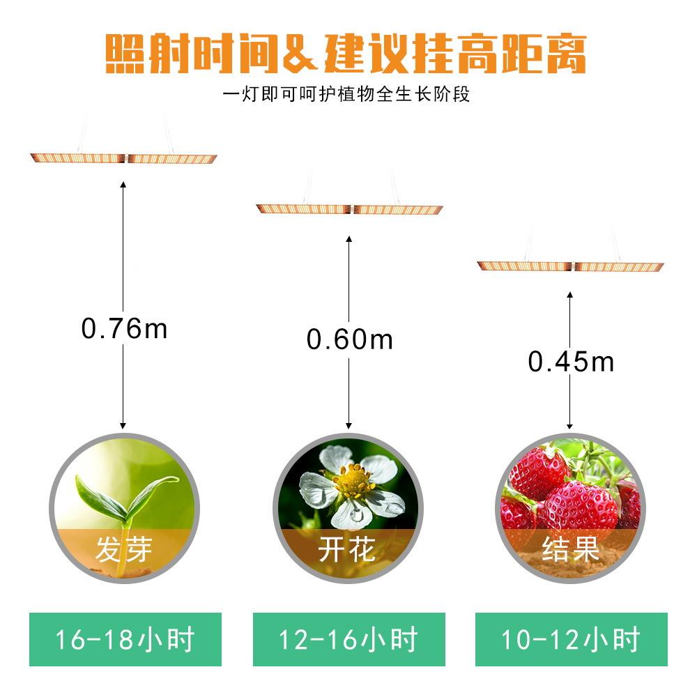 le灯L2量子板d植植物生长大棚全光谱物补光灯蔬菜花卉种植厂灯多图片