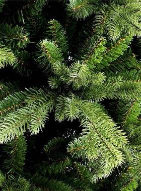 诞绿色圣诞树加密诞节装饰大型仿混SL074合自动真圣树装圣饰布置