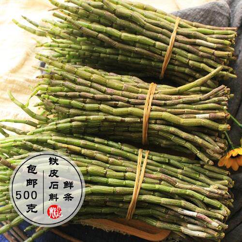 云南新鲜铁皮石斛鲜条500g四年生新鲜石斛铁皮枫斗正宗材礼盒