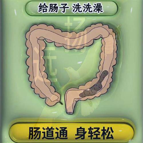藤黄果同款肠排垢宿便果蔬酵素粉灌肠代餐断食辟谷实体款台湾原料