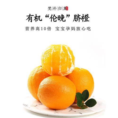 有机富硒秭归脐橙 0农残新鲜现摘橙子 孕妇宝宝甜橙