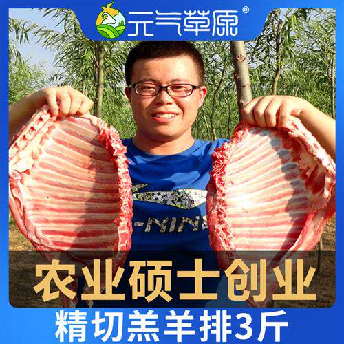 3斤羊排新鲜羊排肉生羊肉手把肉烧烤羊肉羊排骨包邮
