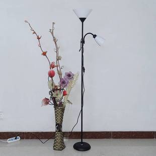 双头LED护眼落地灯客厅卧室床头立式台灯子母灯工作地灯可调光