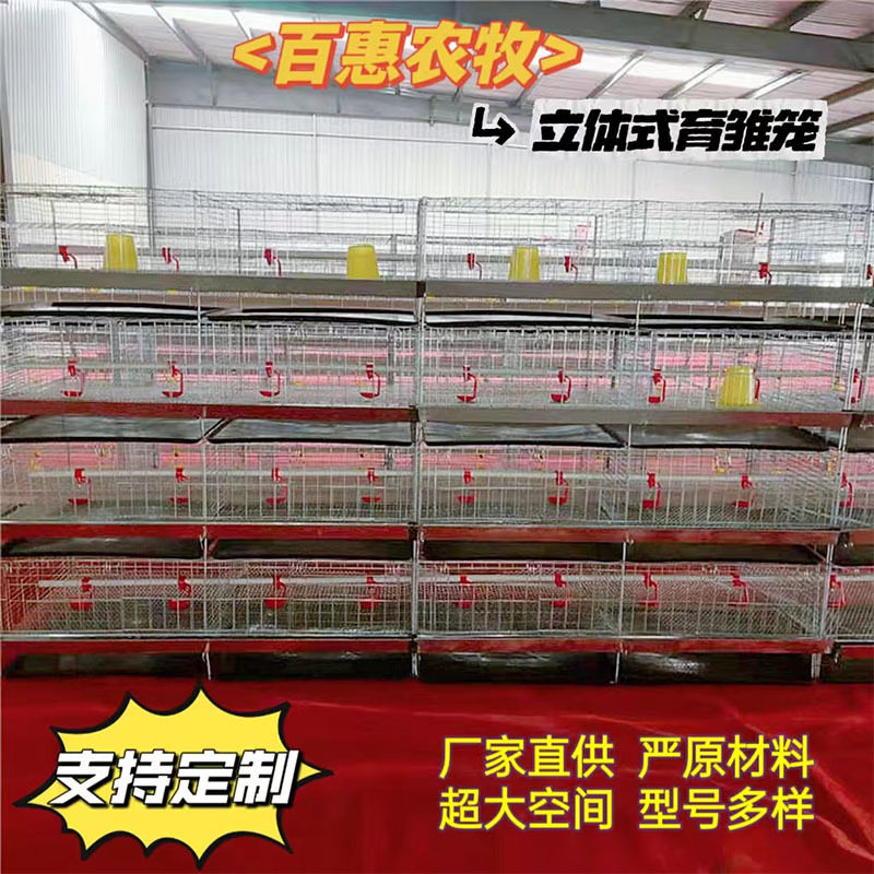 育雏鸡笼四层镀锌防锈防跑鸡