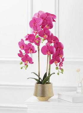 仿真花蝴装蝶假兰盆景套装花摆盆栽62905绢布花过胶手感客厅饰摆