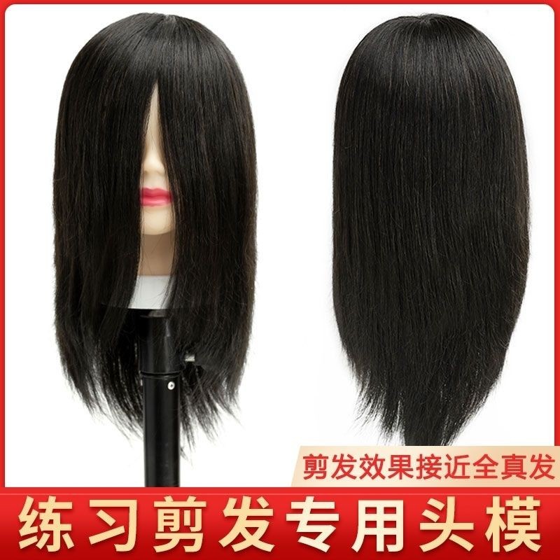 全真发美发头模可烫染吹造