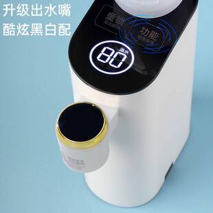 110V220V即热饮水机家用小型台式速热迷你饮水机旅行恒温饮水机