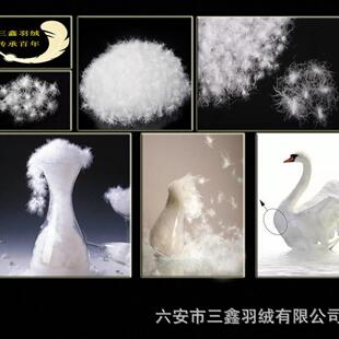 羽绒厂家白水装洗50鹅绒灰鹅绒纺羽毛WHK织被子服填充物