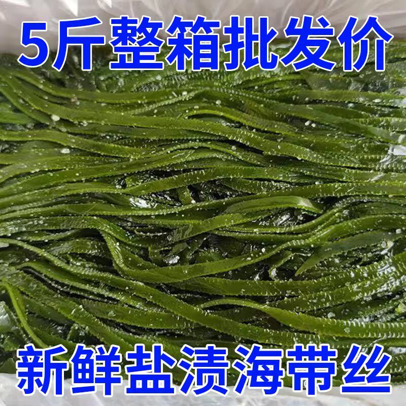 新鲜盐渍海带丝凉拌专用整箱批发商用细丝大连特产饭店煲汤非干货