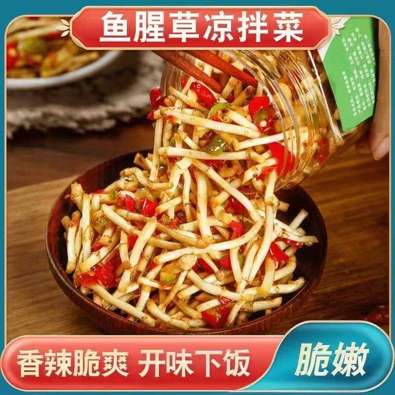 折耳根新鲜鱼腥草重庆当季野蔬菜嫩芽嫩根叶非贵州凉拌下饭菜即食
