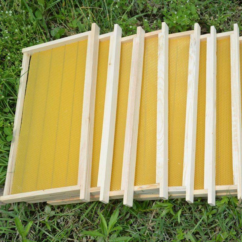 八千成品巢框蜜蜂巢础带框巢脾中蜂蜂巢杉木蜂箱专用全套养蜂工具