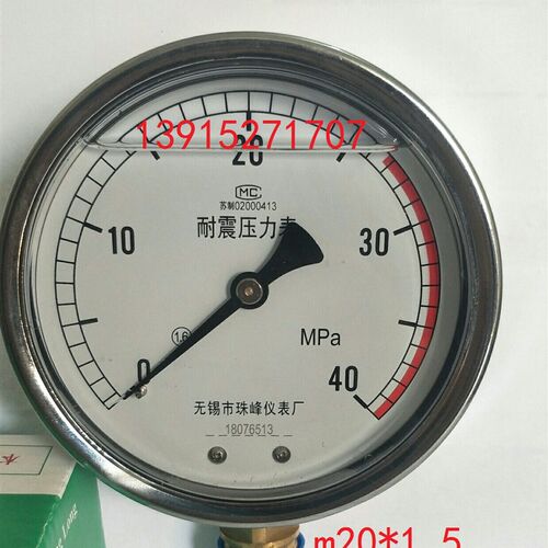 珠峰压力表  耐震压力表,无锡市珠峰仪表厂,YN100径向0-100mpa