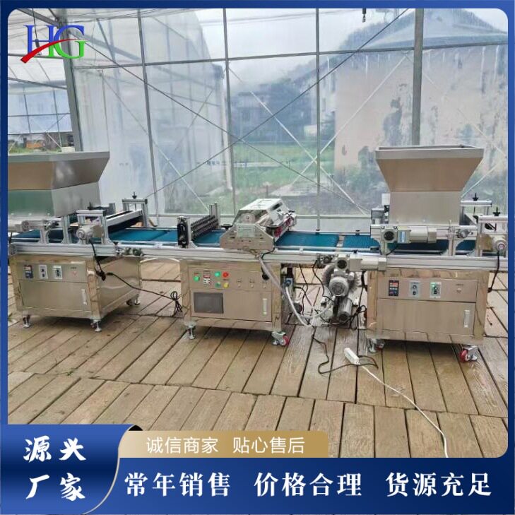 全自动穴盘育苗播种覆土一体机