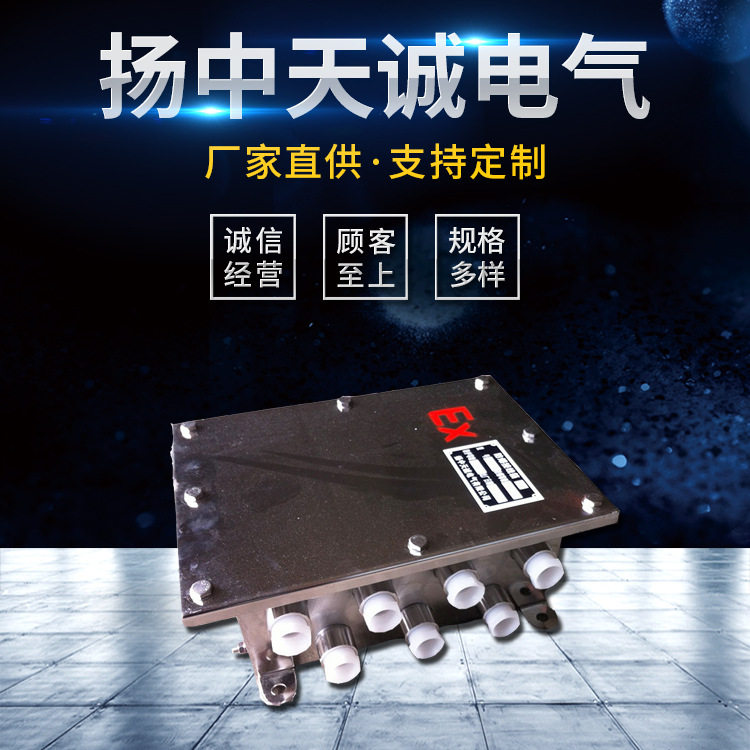 厂家直供 304防爆接线箱 不锈钢防爆器材 量大从优