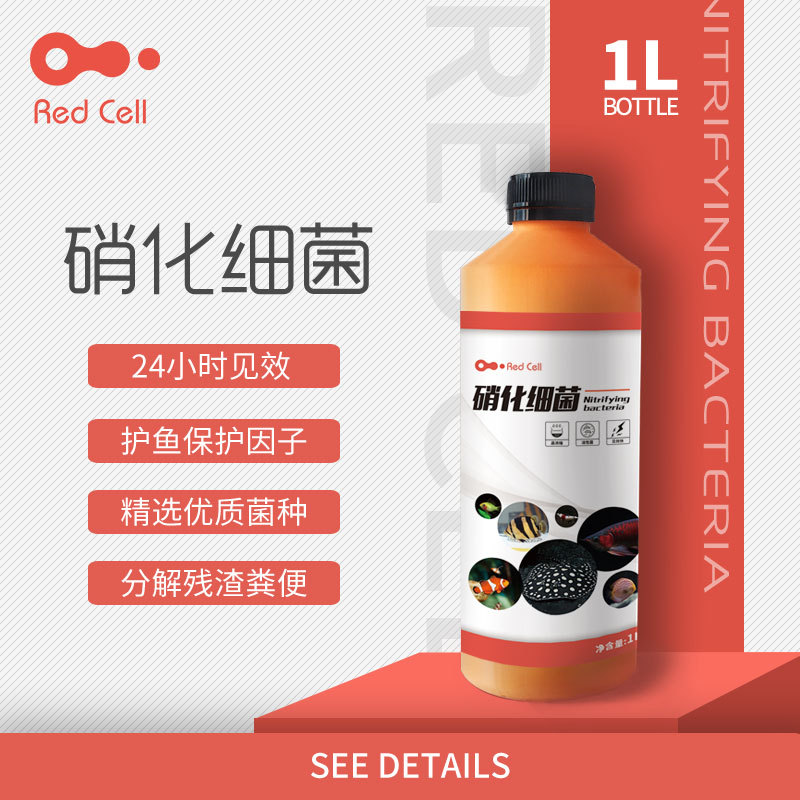 鱼缸AC硝化细菌活菌水质净化剂