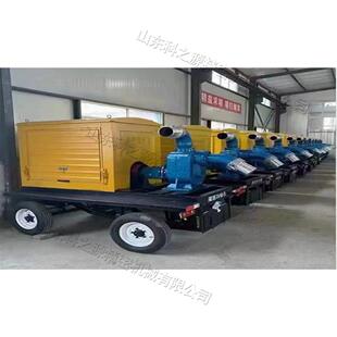 自泵吸WTW增柴压水泵移动式 泵防汛防汛泵车车自吸水泵家用油自吸