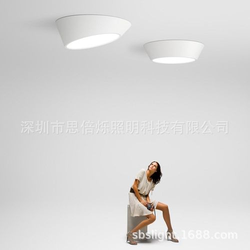 护眼客厅餐厅卧室吸顶灯简约现代设计师样板房创意造型不规则灯具