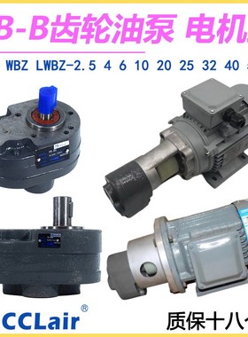 CB-B6齿轮泵4液压LWBZ油泵10B16BM20B25B32B40B50B63B80B100 125R
