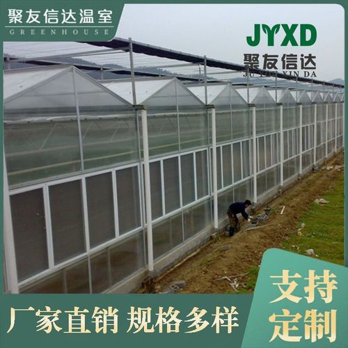 温室大棚定制热镀锌阳光板温室暖房薄膜玻璃温室大棚骨架