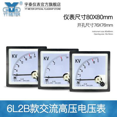 6L2B交流高压电压表3kv 6kv 10kv 12kv 40kv输入100v cp80 be80