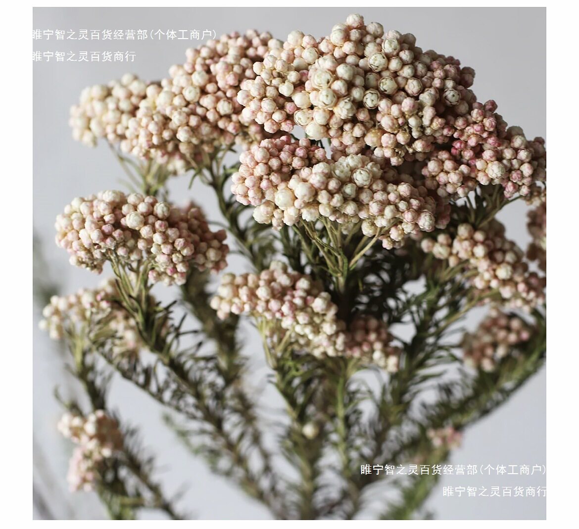 法式复古永生米花干花束摆件