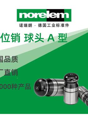 enorlem德原厂直供诺瑞国朗NLM00317定位销球头A型扁BRD平C型