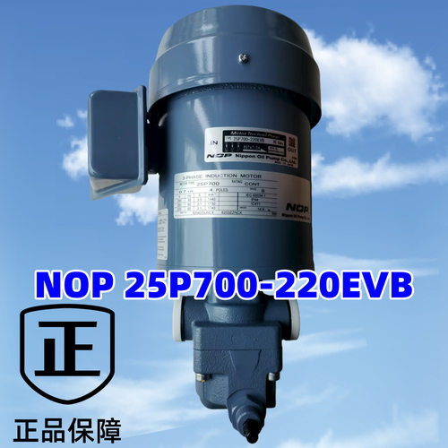 25P750C-220EVB 25P700C-220EVB 2P750L05-216EVS 220EVK NOP泵组
