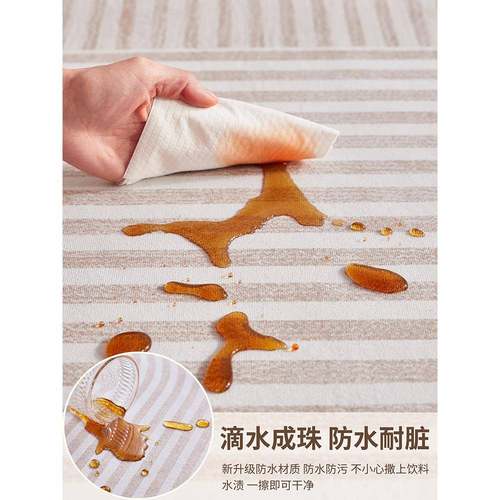 奶油风室地毯客厅轻奢感2新022023-2.25款家沙发地垫用卧防水免洗