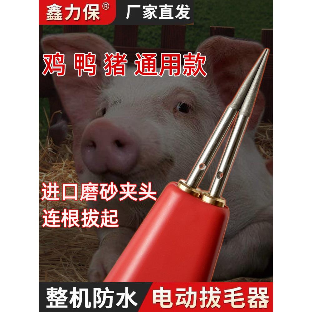 采购产品电动猪头刮刀,家禽和猪拔毛工具,鸡,鸭和鹅拔毛机,猪